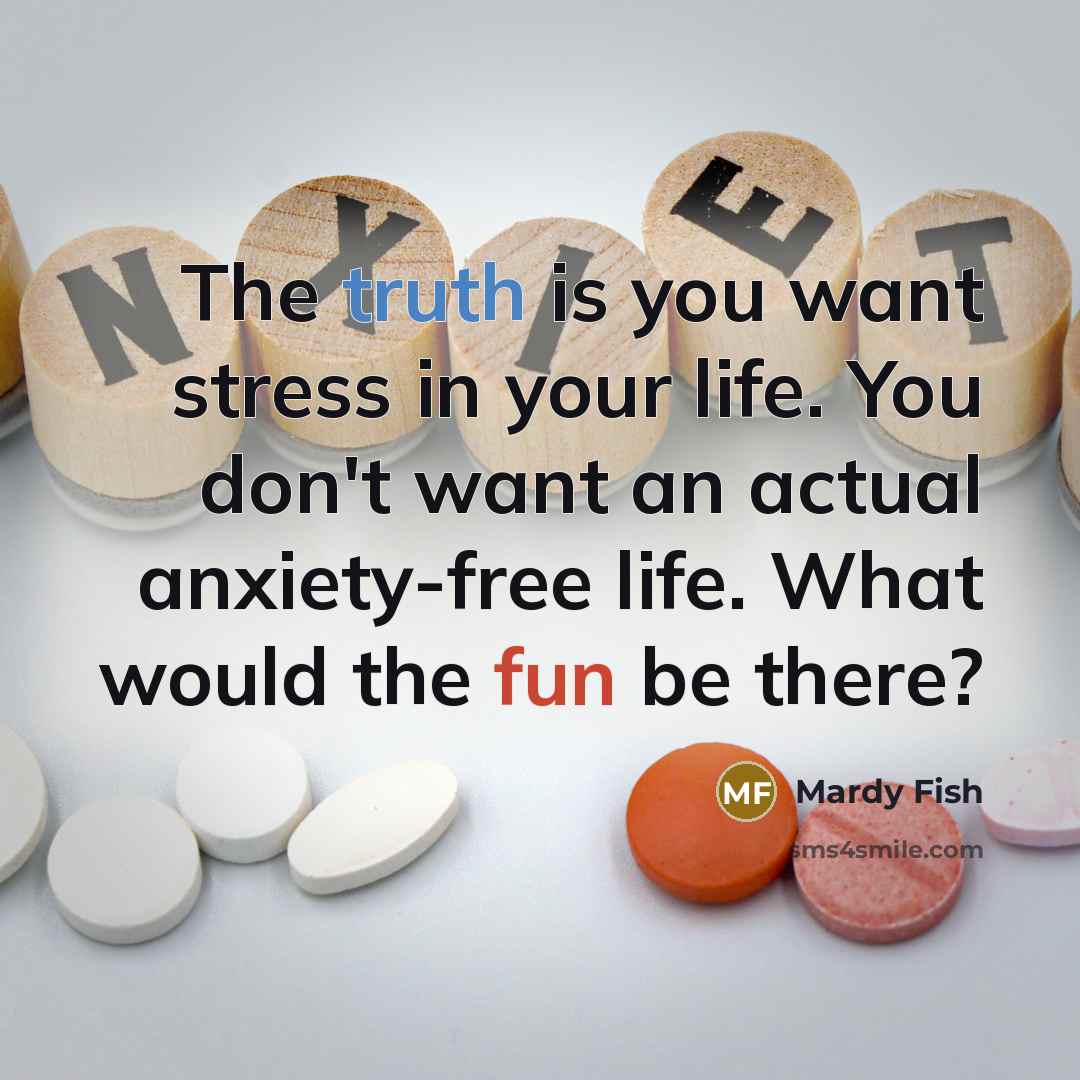 “The truth is you want stress in your life. You don't want an actual anxiety-free life. What would the fun be there?” quote by Mardy Fish