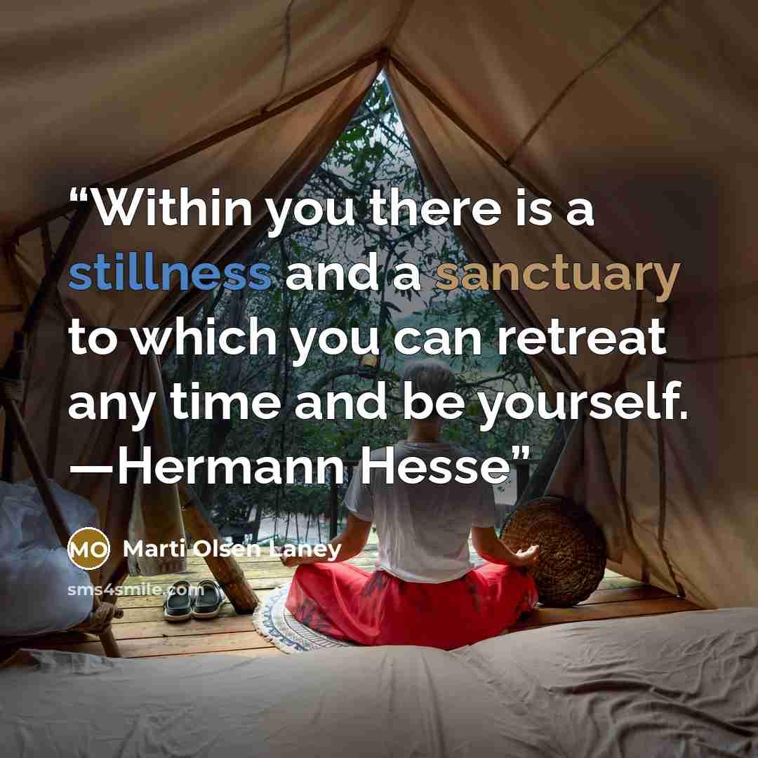 “Within you there is a stillness and a sanctuary to which you can retreat any time and be yourself. —Hermann Hesse” quote by Marti Olsen Laney