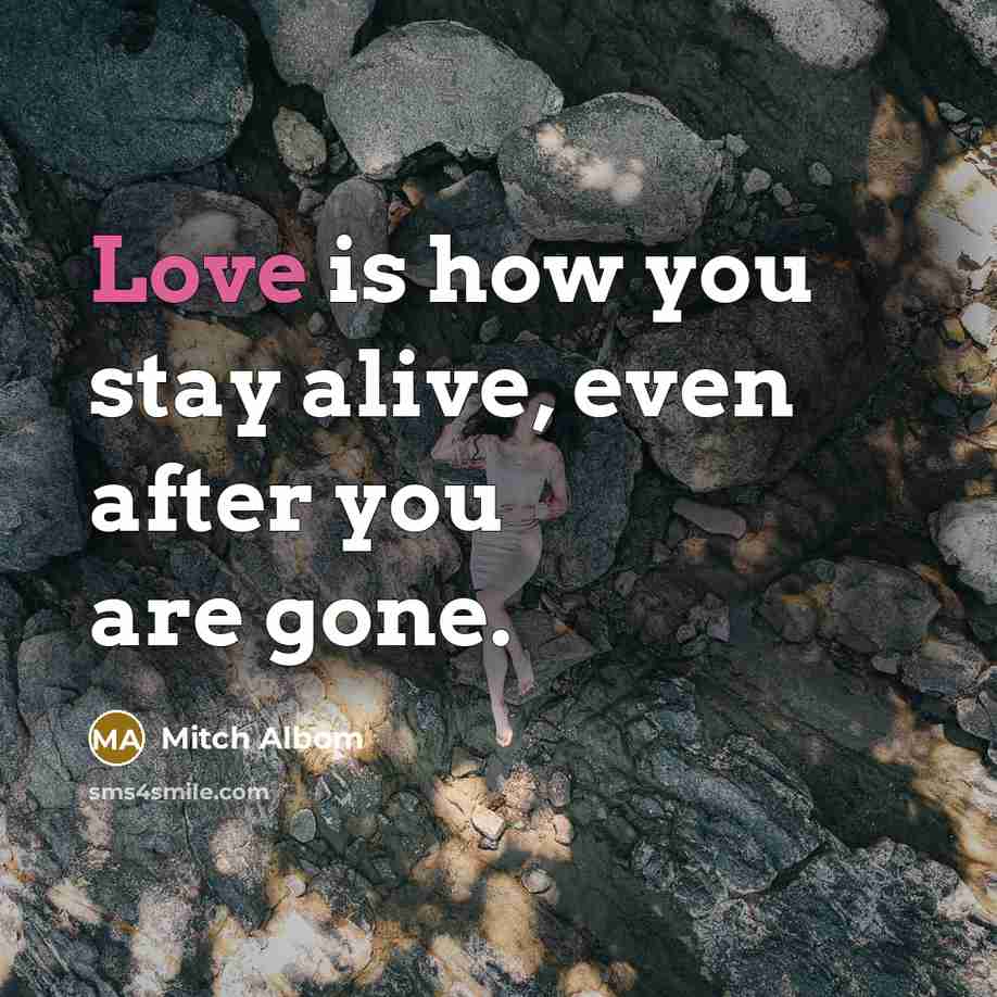 “Love is how you stay alive, even after you are…” quote by Mitch Albom