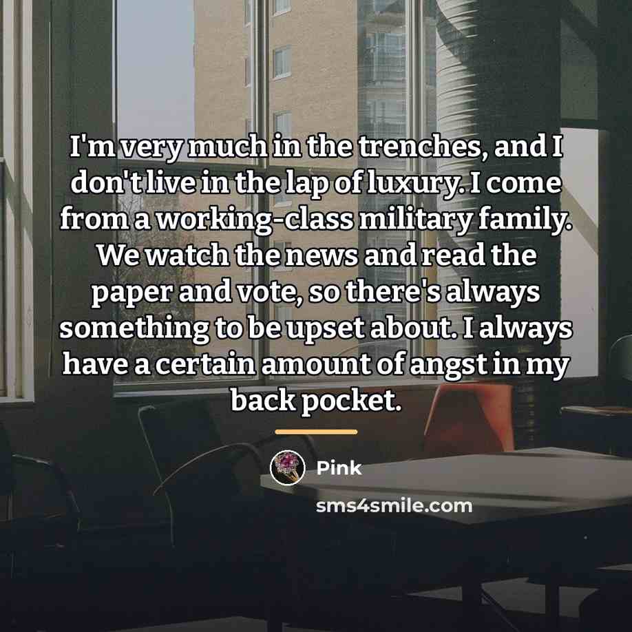 “I'm very much in the trenches, and I don't live…” quote by Pink