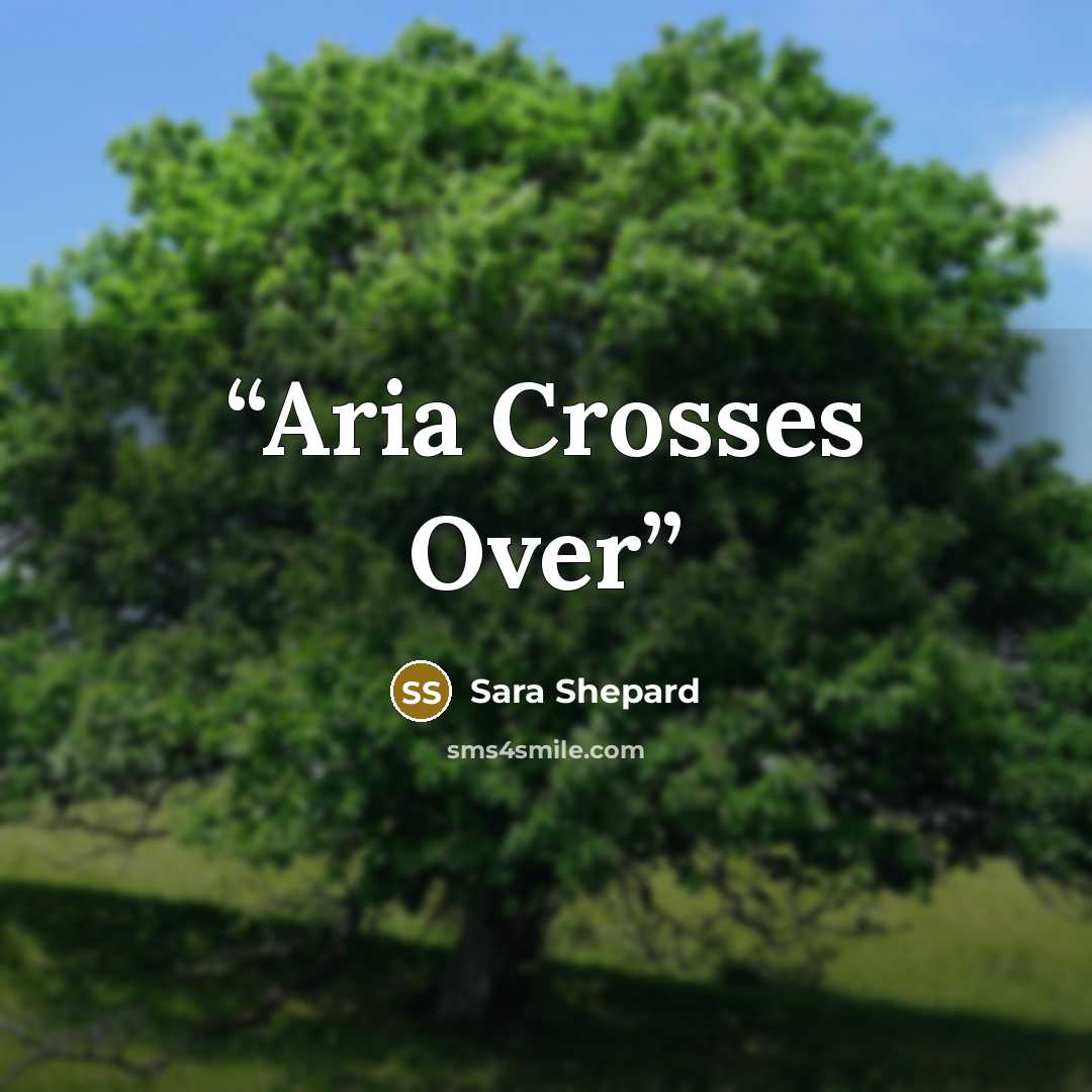 “Aria Crosses Over” quote by Sara Shepard