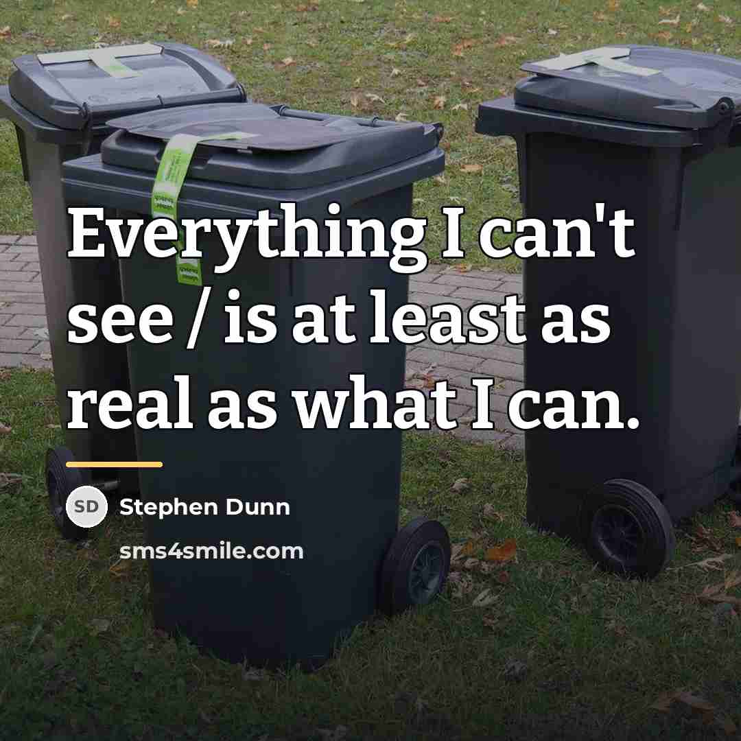 “Everything I can't see / is at least as real…” quote by Stephen Dunn