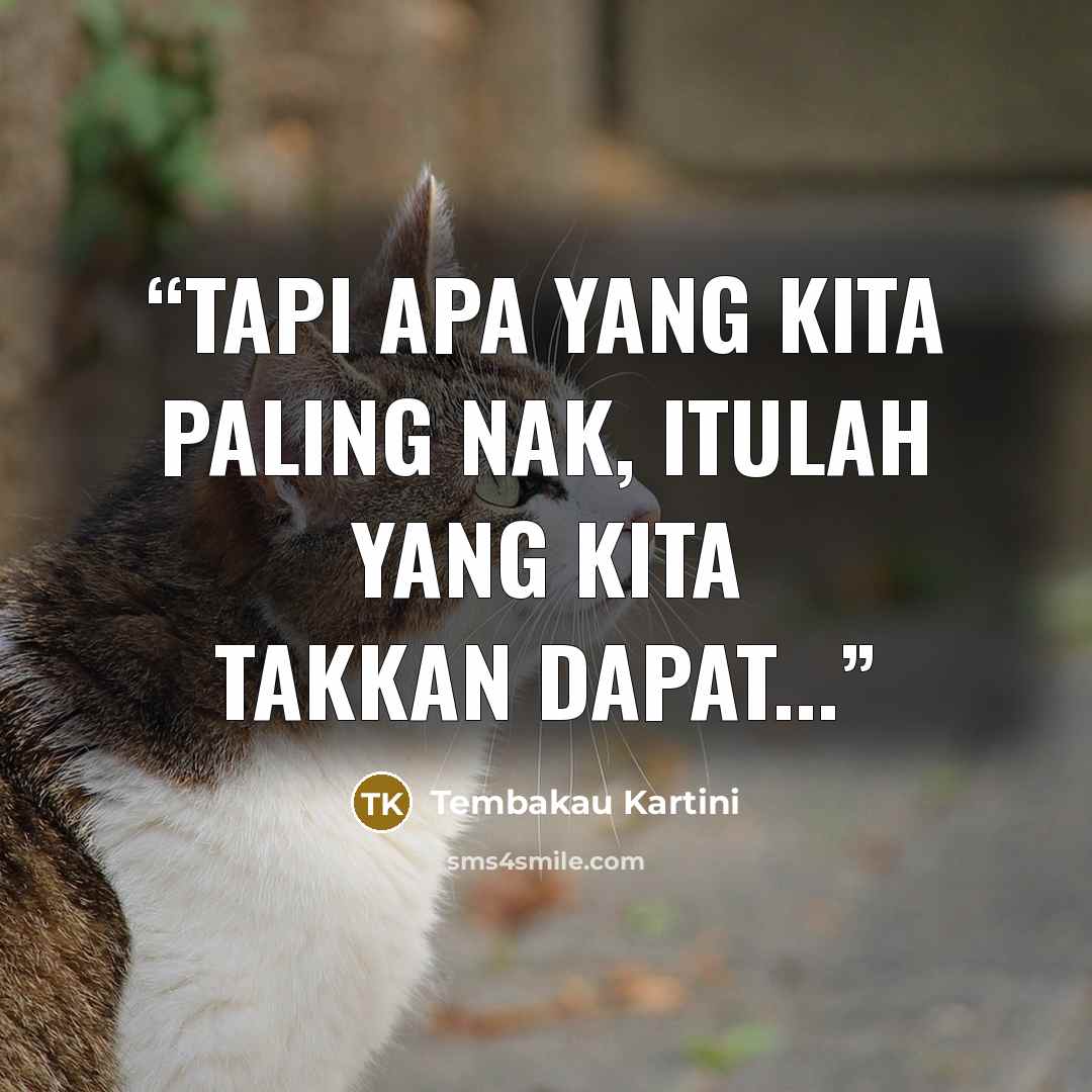 “Tapi apa yang kita paling nak, itulah yang kita takkan dapat...” quote by Tembakau Kartini
