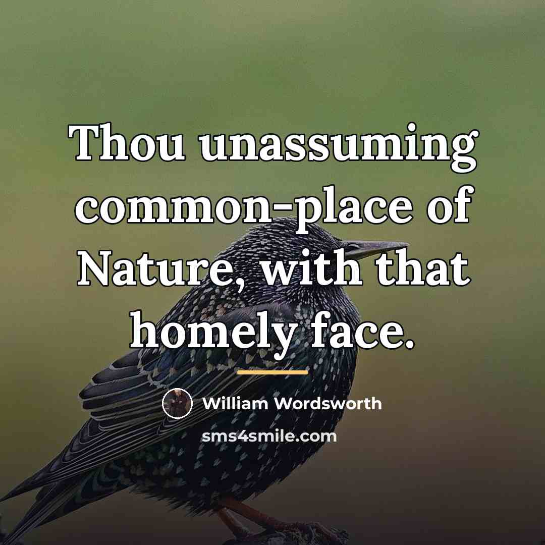 “Thou unassuming common-place of Nature, with that homely face.…” quote by William Wordsworth
