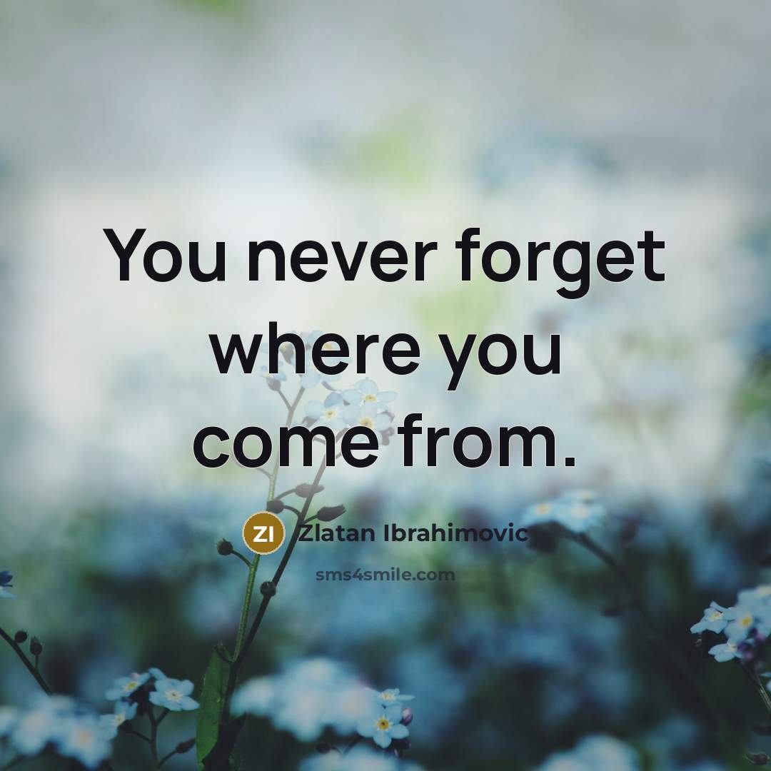 “You never forget where you come from.…” quote by Zlatan Ibrahimovic