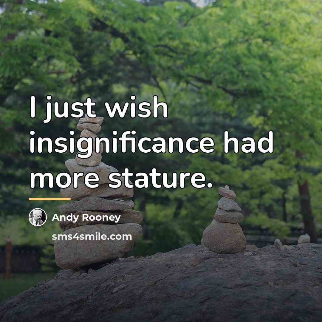 “I just wish insignificance had more stature.…” quote by Andy Rooney