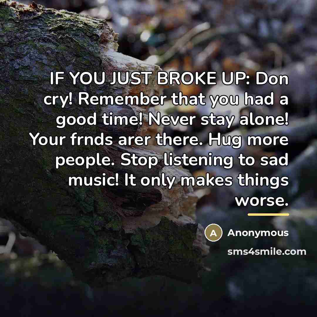 “IF YOU JUST BROKE UP: Don cry! Remember that you…” quote by Anonymous