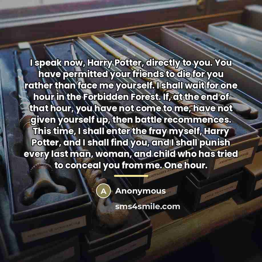 “I speak now, Harry Potter, directly to you. You have…” quote by Anonymous