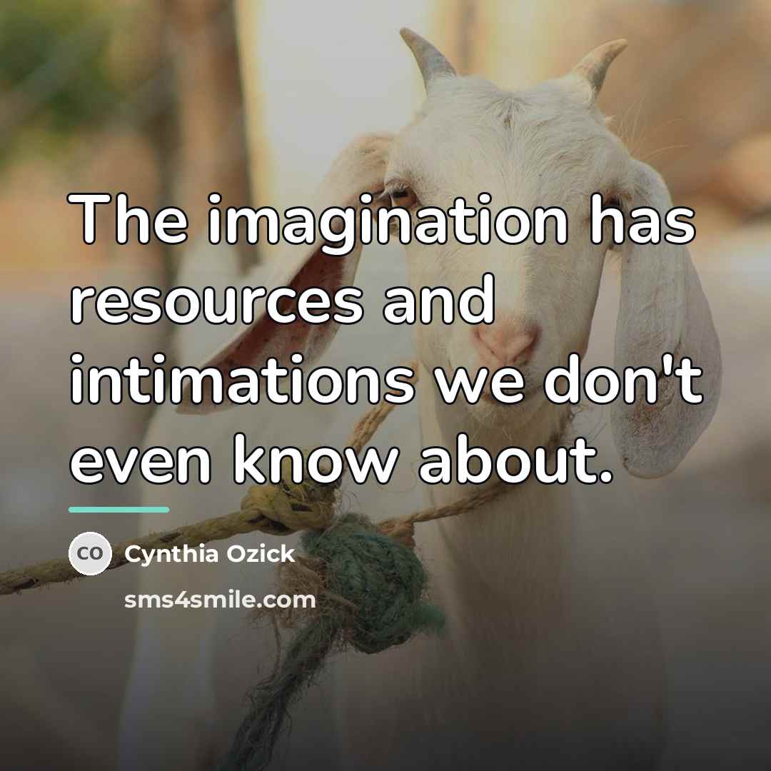 “The imagination has resources and intimations we don't even know…” quote by Cynthia Ozick
