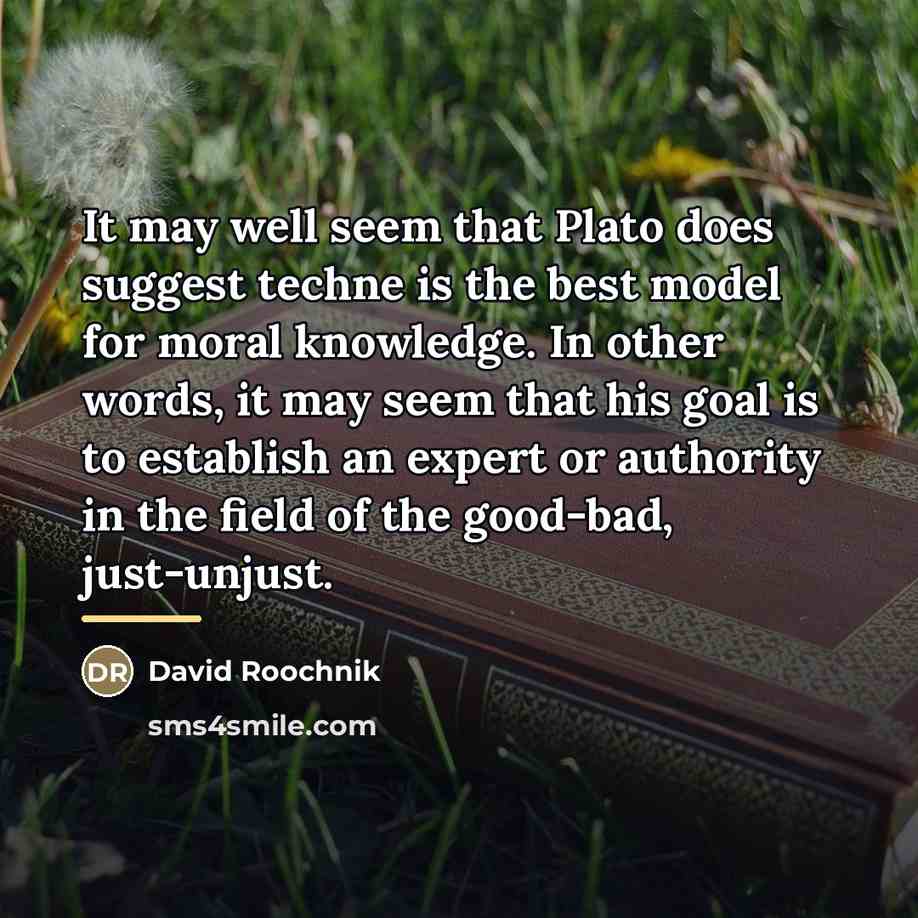 “It may well seem that Plato does suggest techne is…” quote by David Roochnik