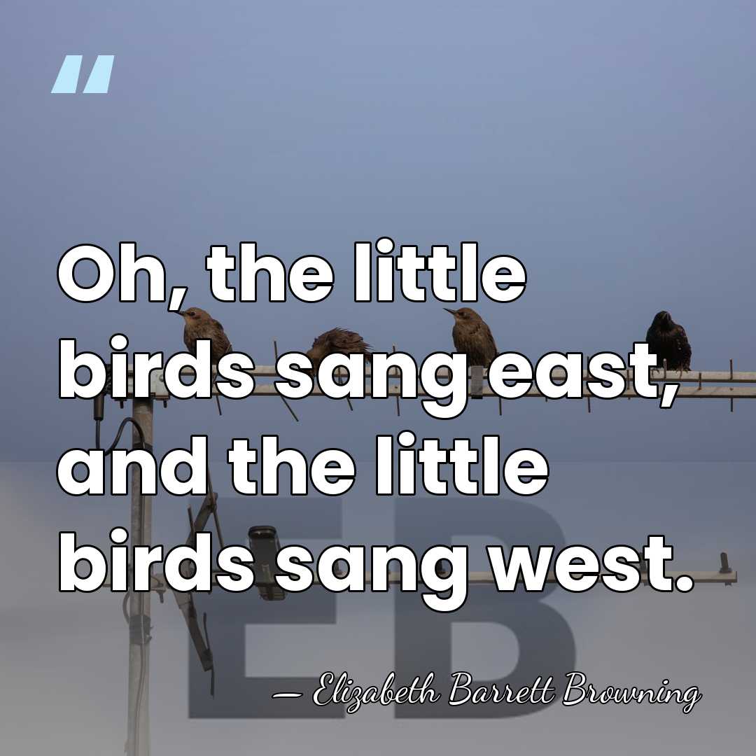 Oh, the little birds sang east, and the little birds sang west. - Elizabeth Barrett Browning