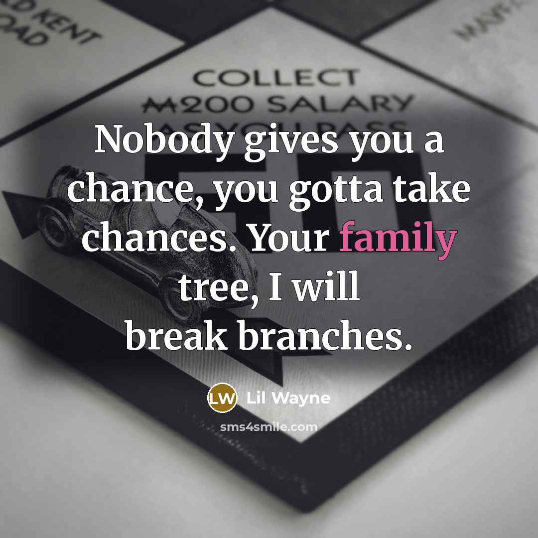 “Nobody gives you a chance, you gotta take chances. Your family tree, I will break branches.” quote by Lil Wayne