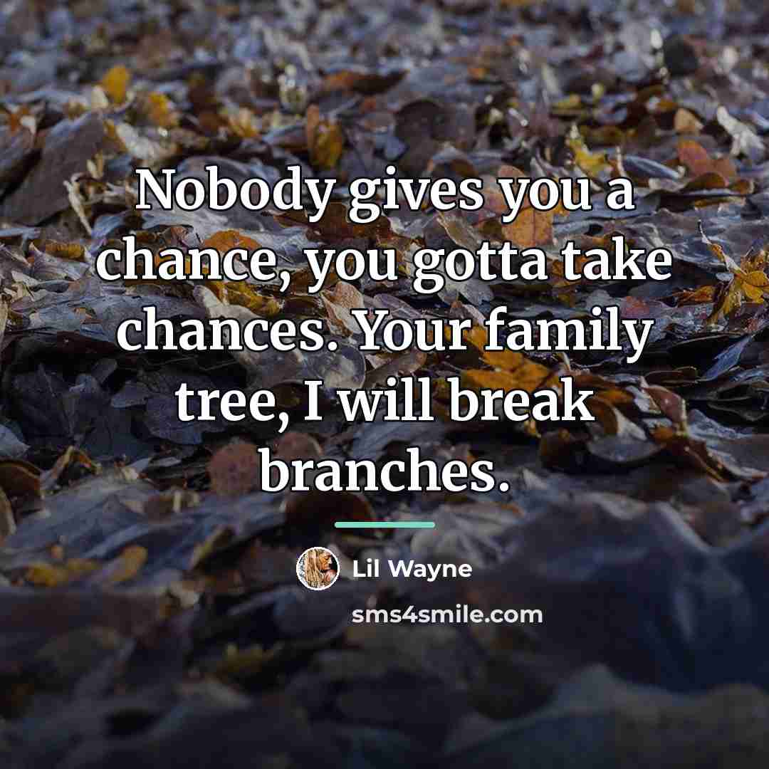 “Nobody gives you a chance, you gotta take chances. Your…” quote by Lil Wayne