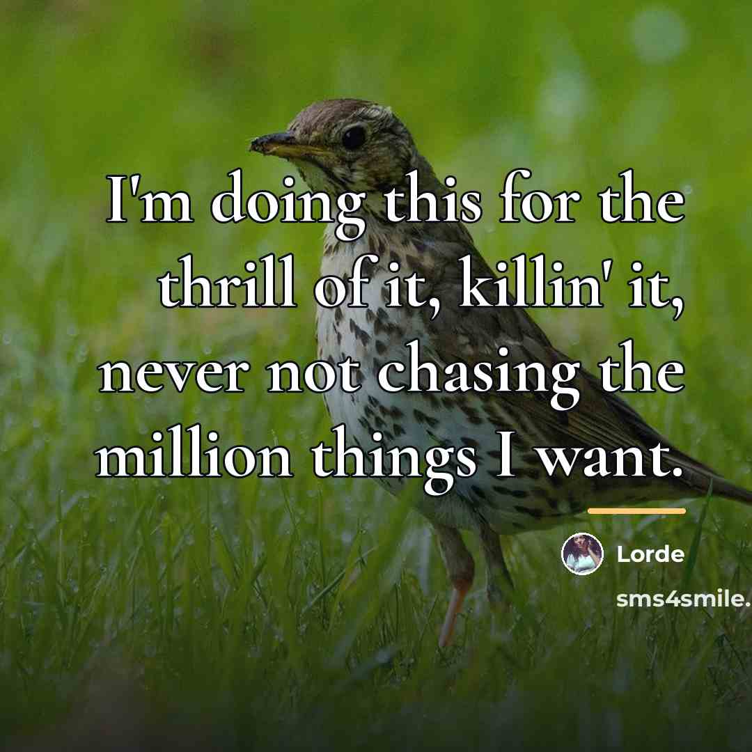 “I'm doing this for the thrill of it, killin' it,…” quote by Lorde