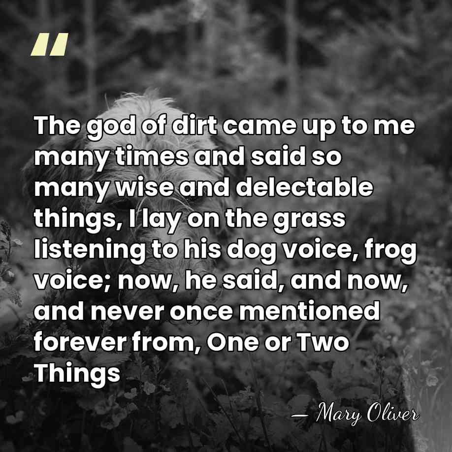 The god of dirt came up to me many times and said&hellip; - Mary Oliver