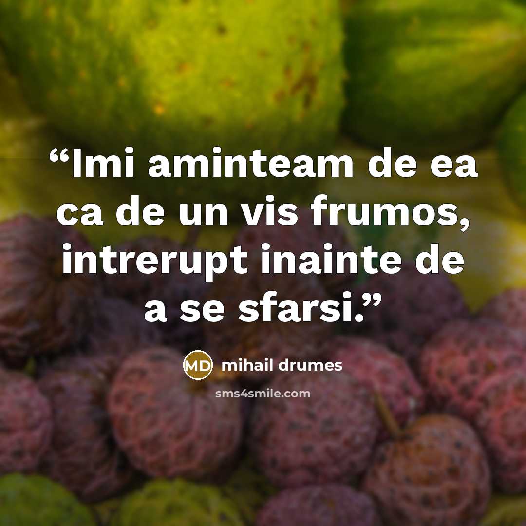 “Imi aminteam de ea ca de un vis frumos, intrerupt inainte de a se sfarsi.” quote by Mihail Drumeş