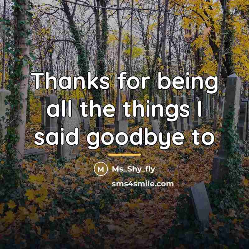 “Thanks for being all the things I said goodbye to…” quote by Ms_Shy_fly