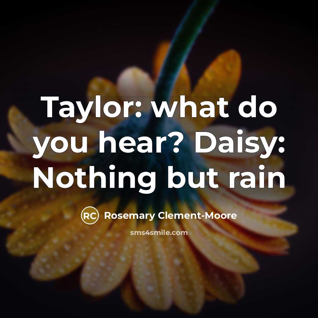 “Taylor: what do you hear? Daisy: Nothing but rain…” quote by Rosemary Clement-Moore