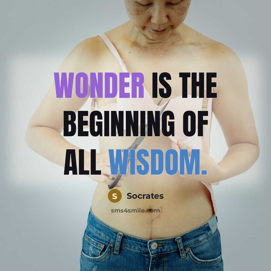 “Wonder is the beginning of all wisdom.” quote by Socrates