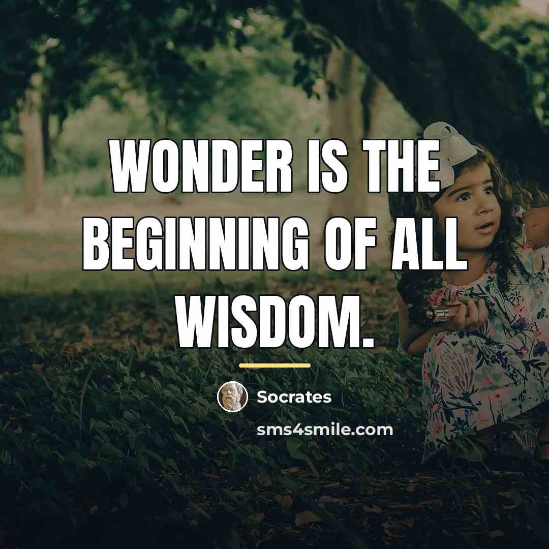 “Wonder is the beginning of all wisdom.…” quote by Socrates