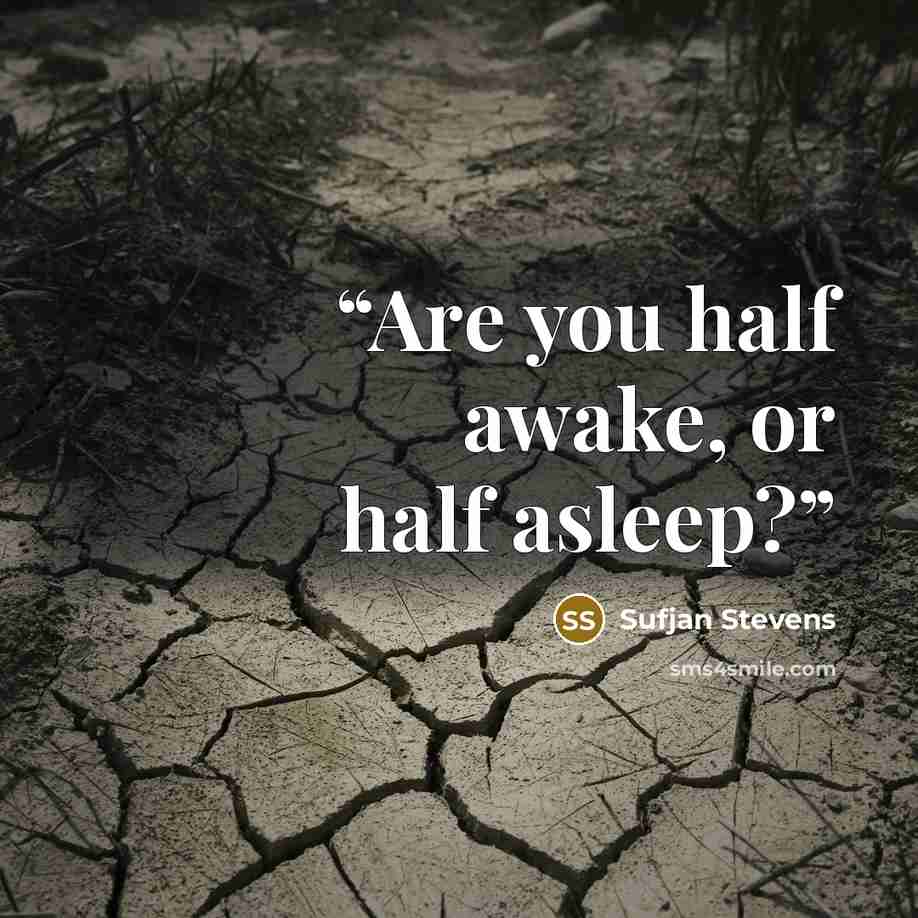“Are you half awake, or half asleep?” quote by Sufjan Stevens