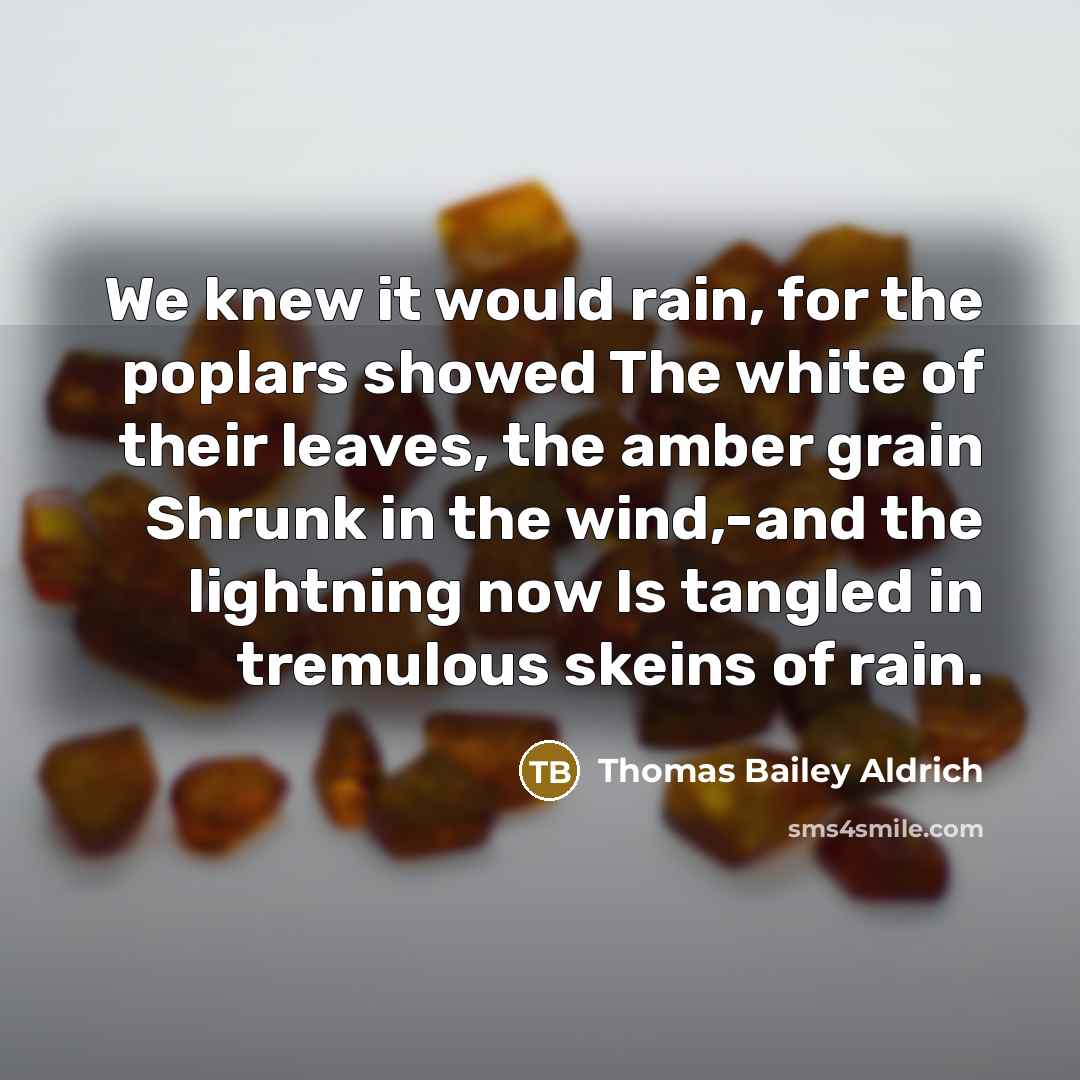 “We knew it would rain, for the poplars showed The…” quote by Thomas Bailey Aldrich