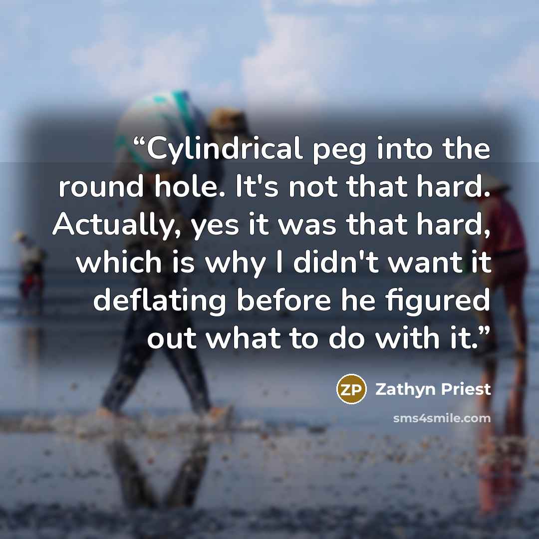 “Cylindrical peg into the round hole. It's not that hard. Actually, yes it was that hard, which is why I didn't want it deflating before he figured out what to do with it.” quote by Zathyn Priest