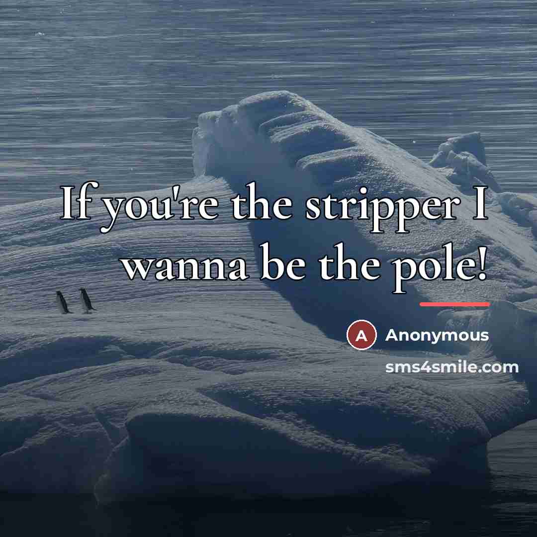 “If you're the stripper I wanna be the pole!…” quote by Anonymous