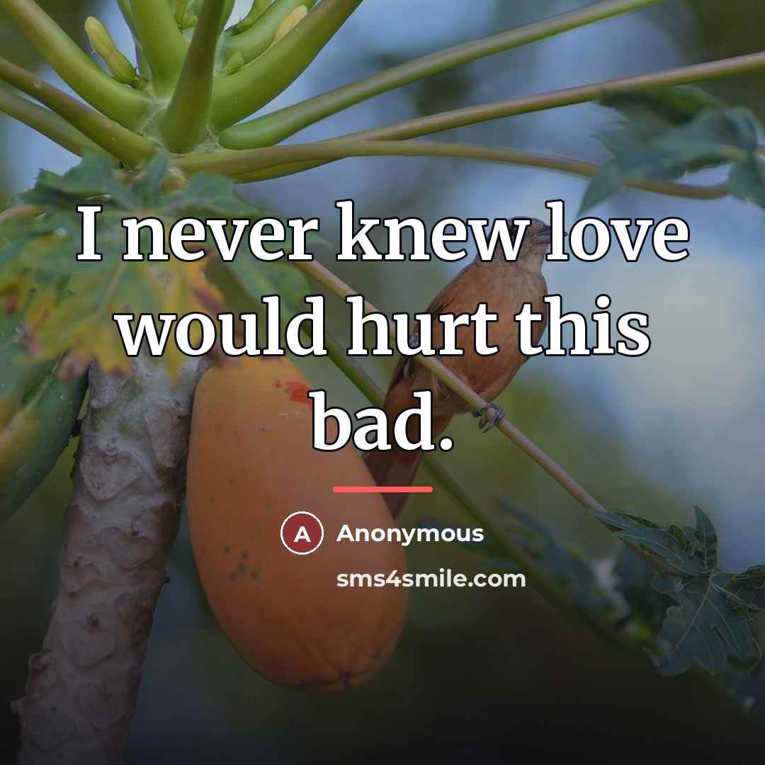 “I never knew love would hurt this bad.…” quote by Anonymous