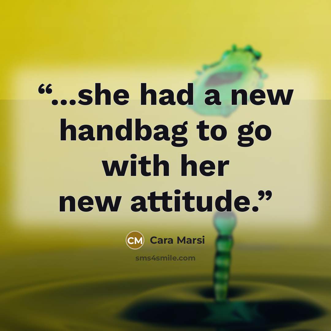 “...she had a new handbag to go with her new attitude.” quote by Cara Marsi