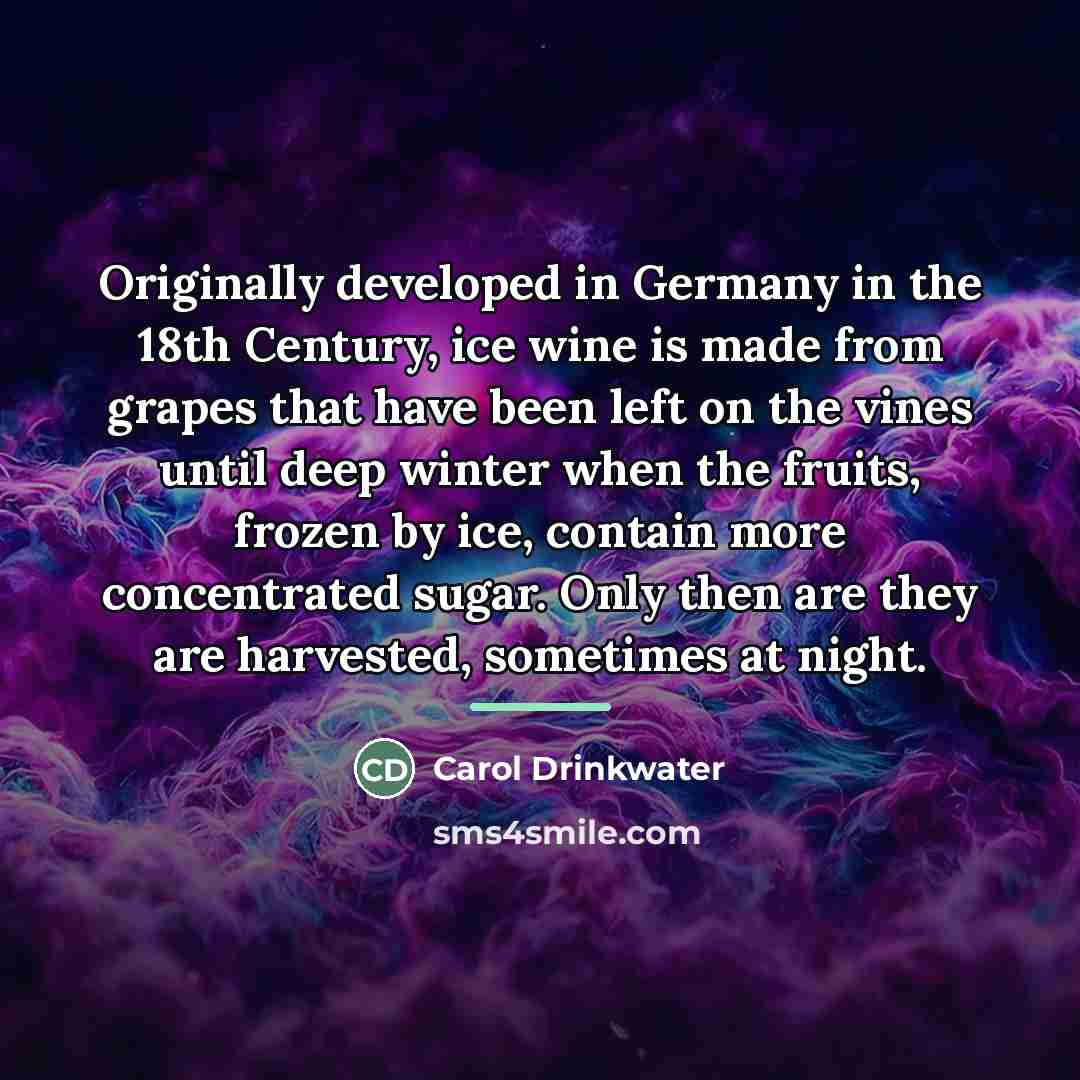 “Originally developed in Germany in the 18th Century, ice wine…” quote by Carol Drinkwater