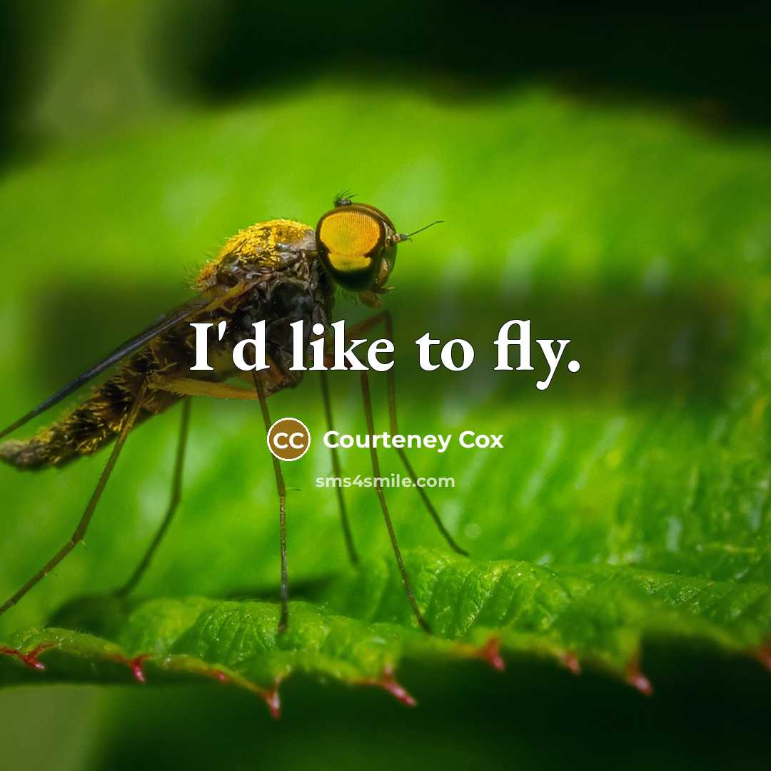 “I'd like to fly.…” quote by Courteney Cox