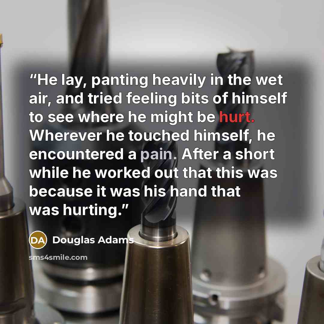 “He lay, panting heavily in the wet air, and tried feeling bits of himself to see where he might be hurt. Wherever he touched himself, he encountered a pain. After a short while he worked out that this was because it was his hand that was hurting.” quote by Douglas Adams