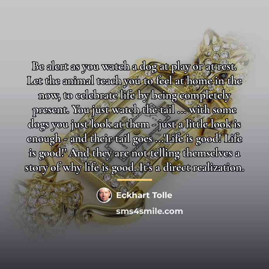 “Be alert as you watch a dog at play or…” quote by Eckhart Tolle