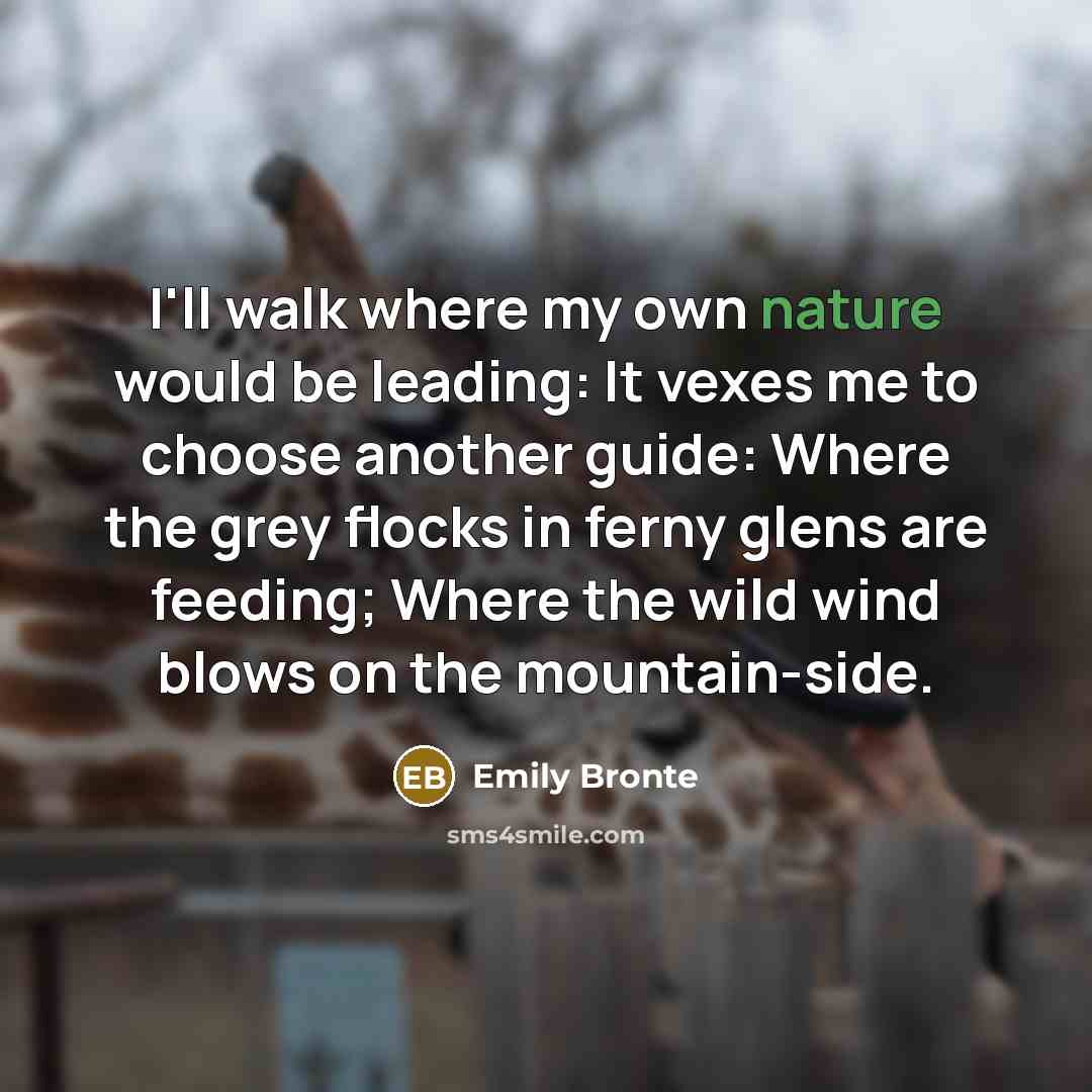 “I'll walk where my own nature would be leading: It…” quote by Emily Bronte
