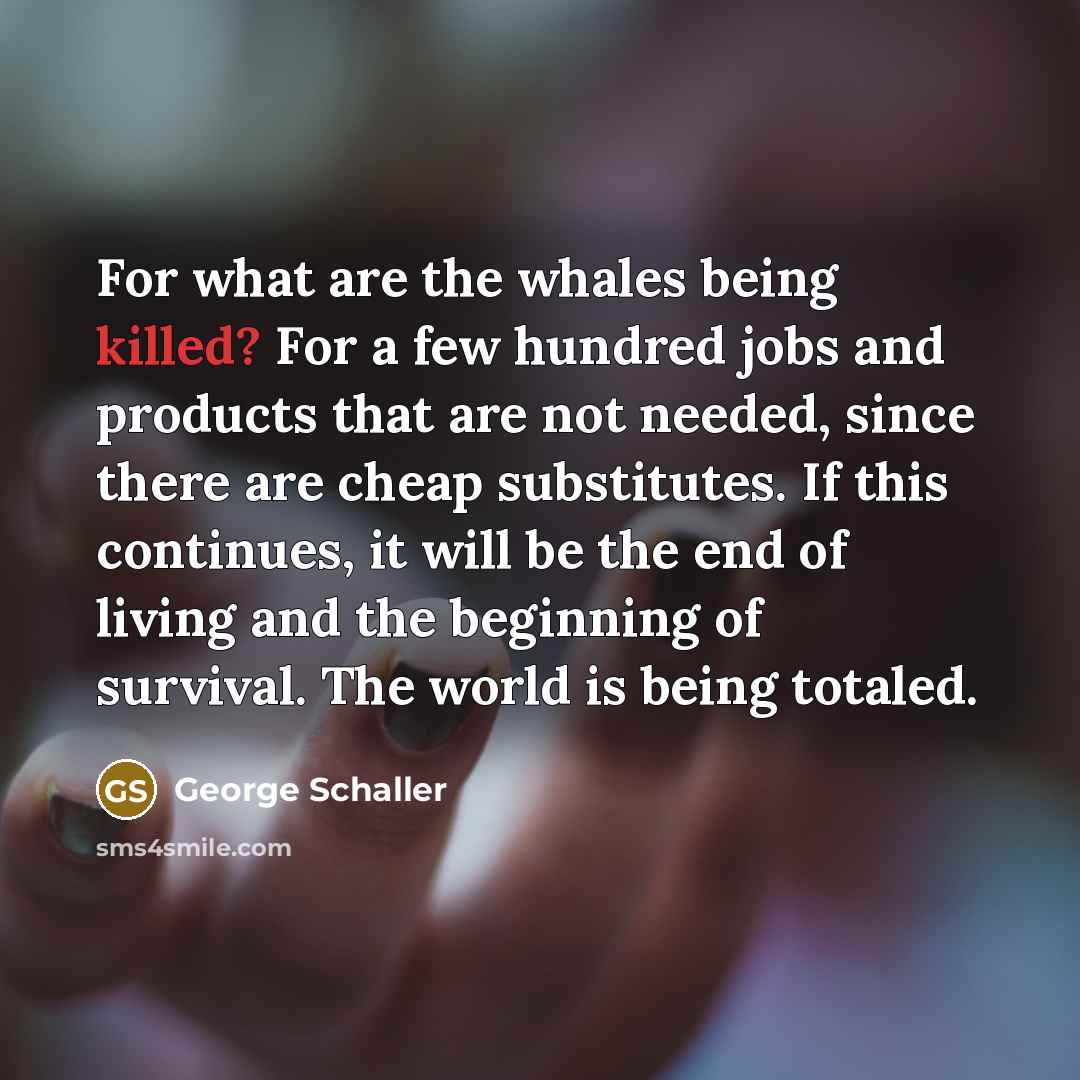 “For what are the whales being killed? For a few…” quote by George Schaller
