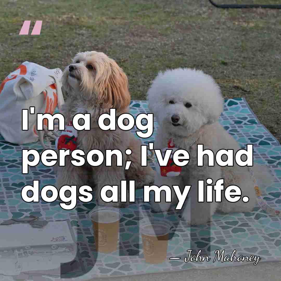 I'm a dog person; I've had dogs all my life. - John Mahoney