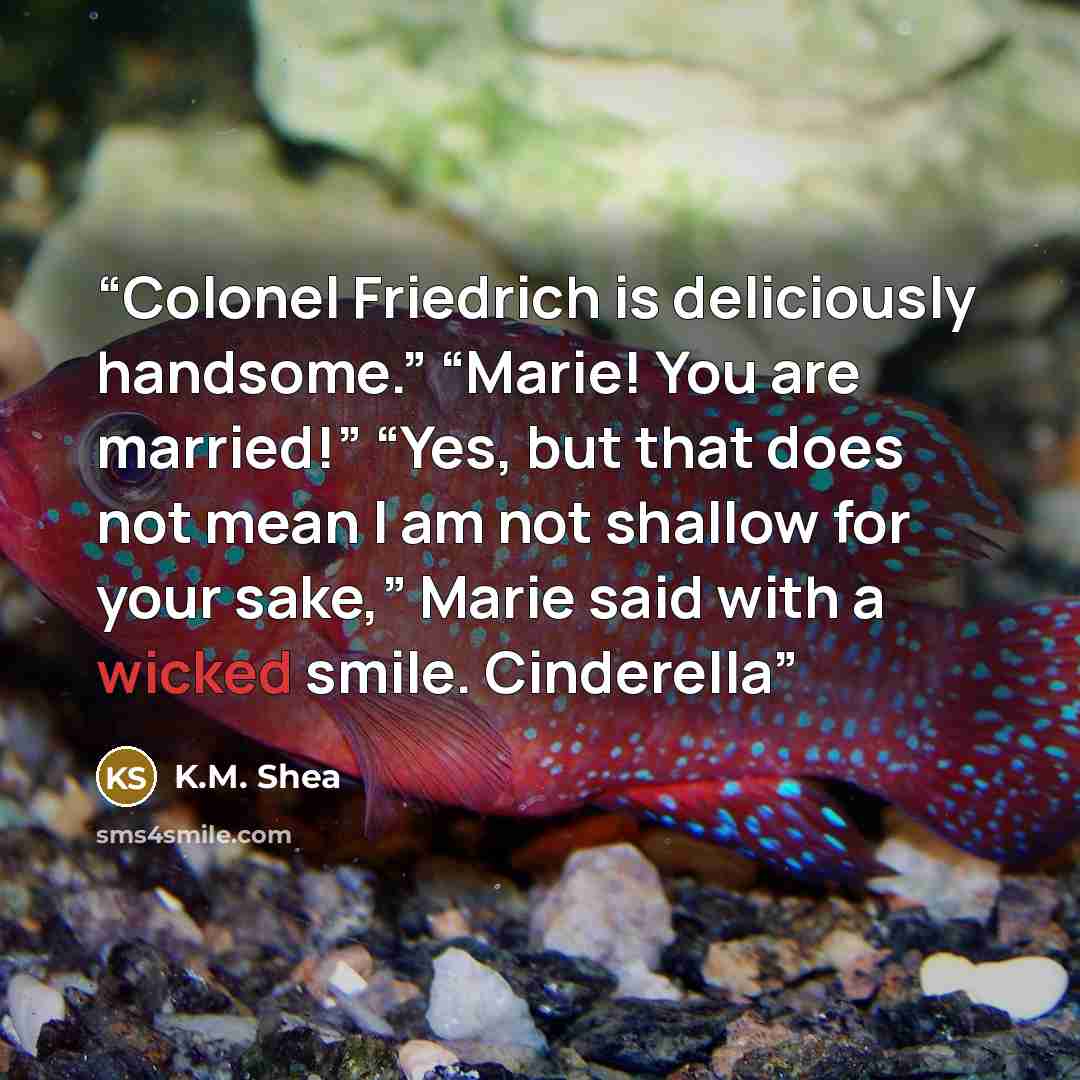 “Colonel Friedrich is deliciously handsome.” “Marie! You are married!” “Yes, but that does not mean I am not shallow for your sake,” Marie said with a wicked smile. Cinderella” quote by K.M. Shea