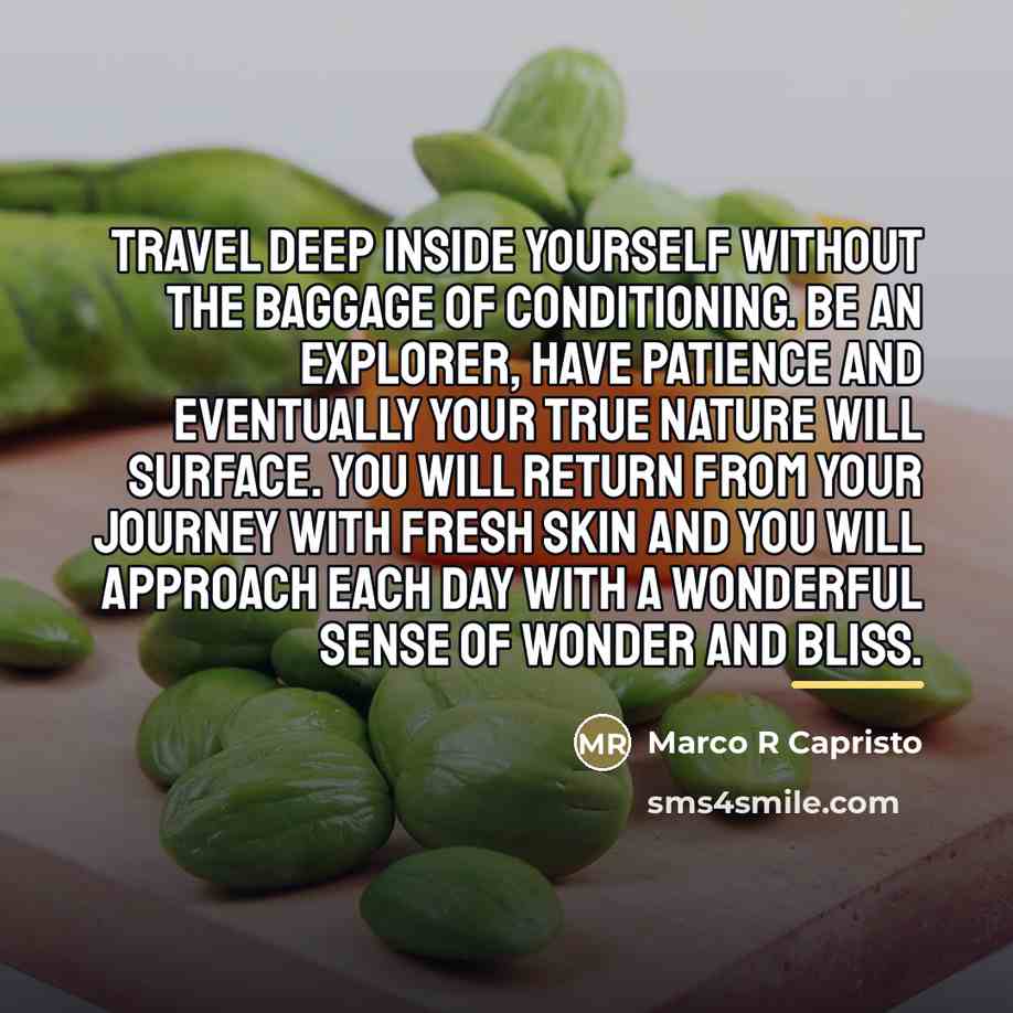 “Travel deep inside yourself without the baggage of conditioning. Be…” quote by Marco R Capristo
