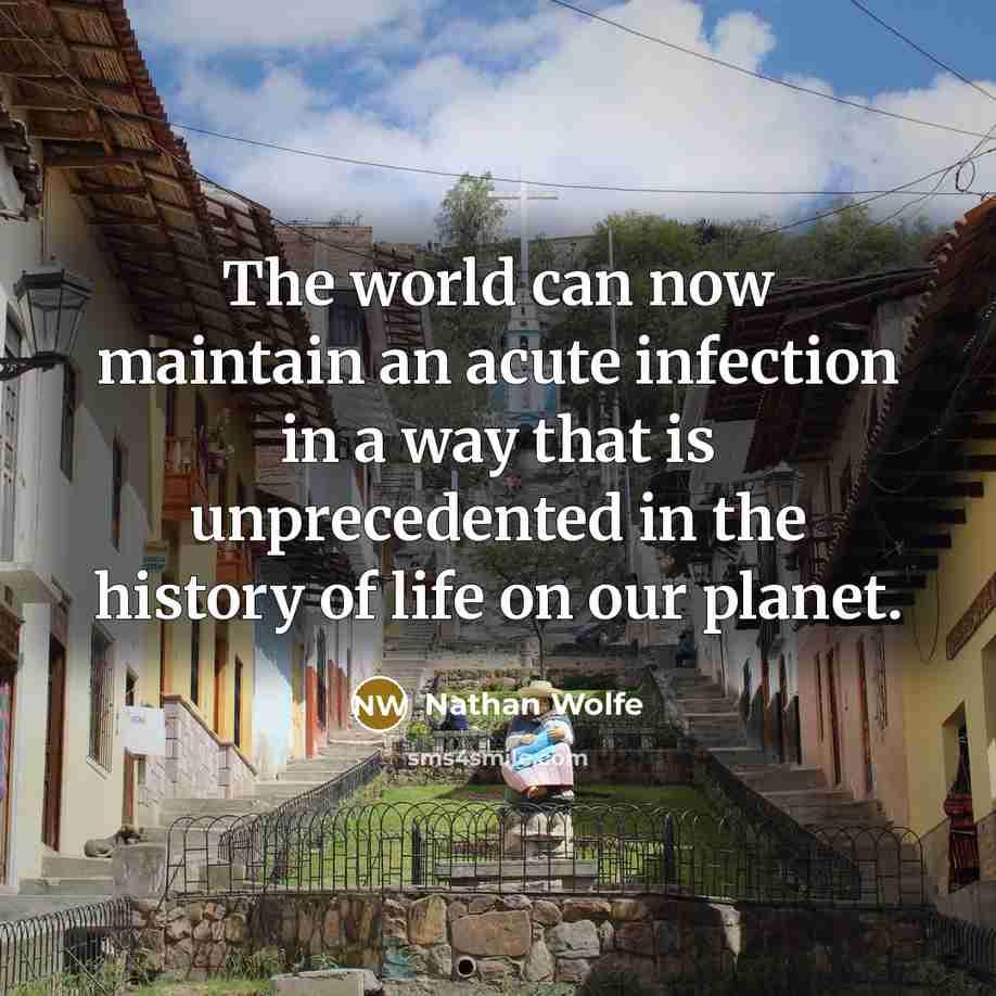 “The world can now maintain an acute infection in a…” quote by Nathan Wolfe