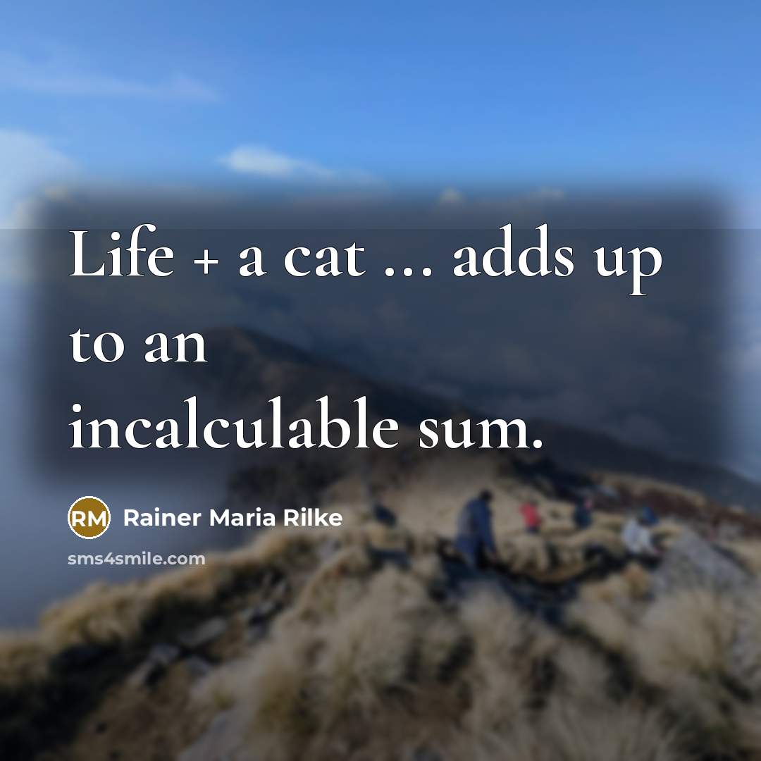 “Life + a cat ... adds up to an incalculable…” quote by Rainer Maria Rilke