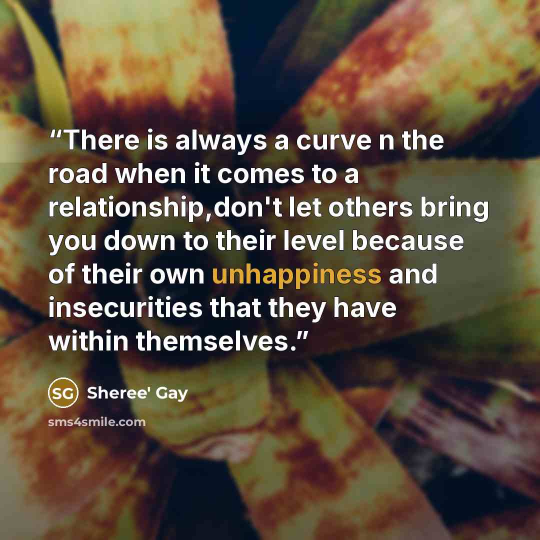 “There is always a curve n the road when it comes to a relationship,don't let others bring you down to their level because of their own unhappiness and insecurities that they have within themselves.” quote by Sheree' Gay