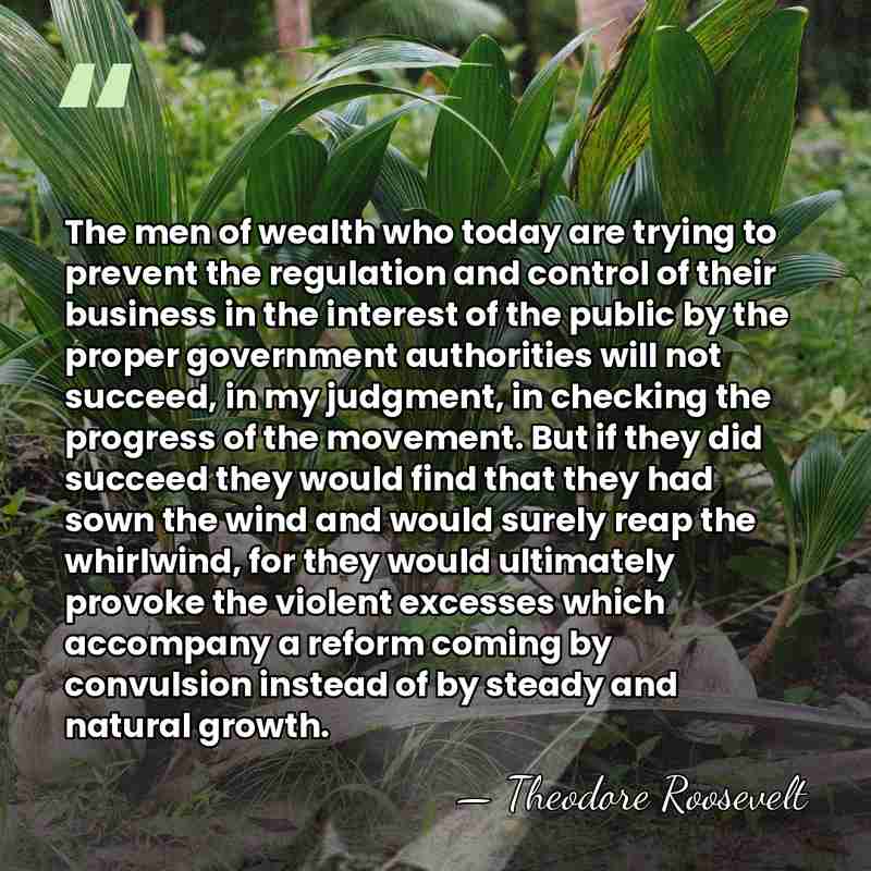 The men of wealth who today are trying to prevent the regulation&hellip; - Theodore Roosevelt