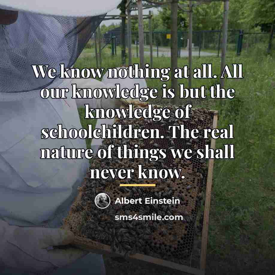 “We know nothing at all. All our knowledge is but…” quote by Albert Einstein
