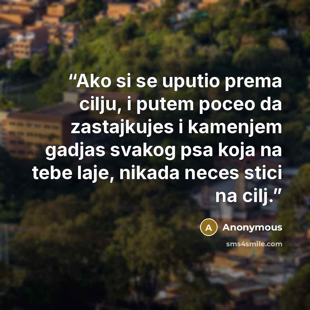 “Ako si se uputio prema cilju, i putem poceo da zastajkujes i kamenjem gadjas svakog psa koja na tebe laje, nikada neces stici na cilj.” quote by Anonymous