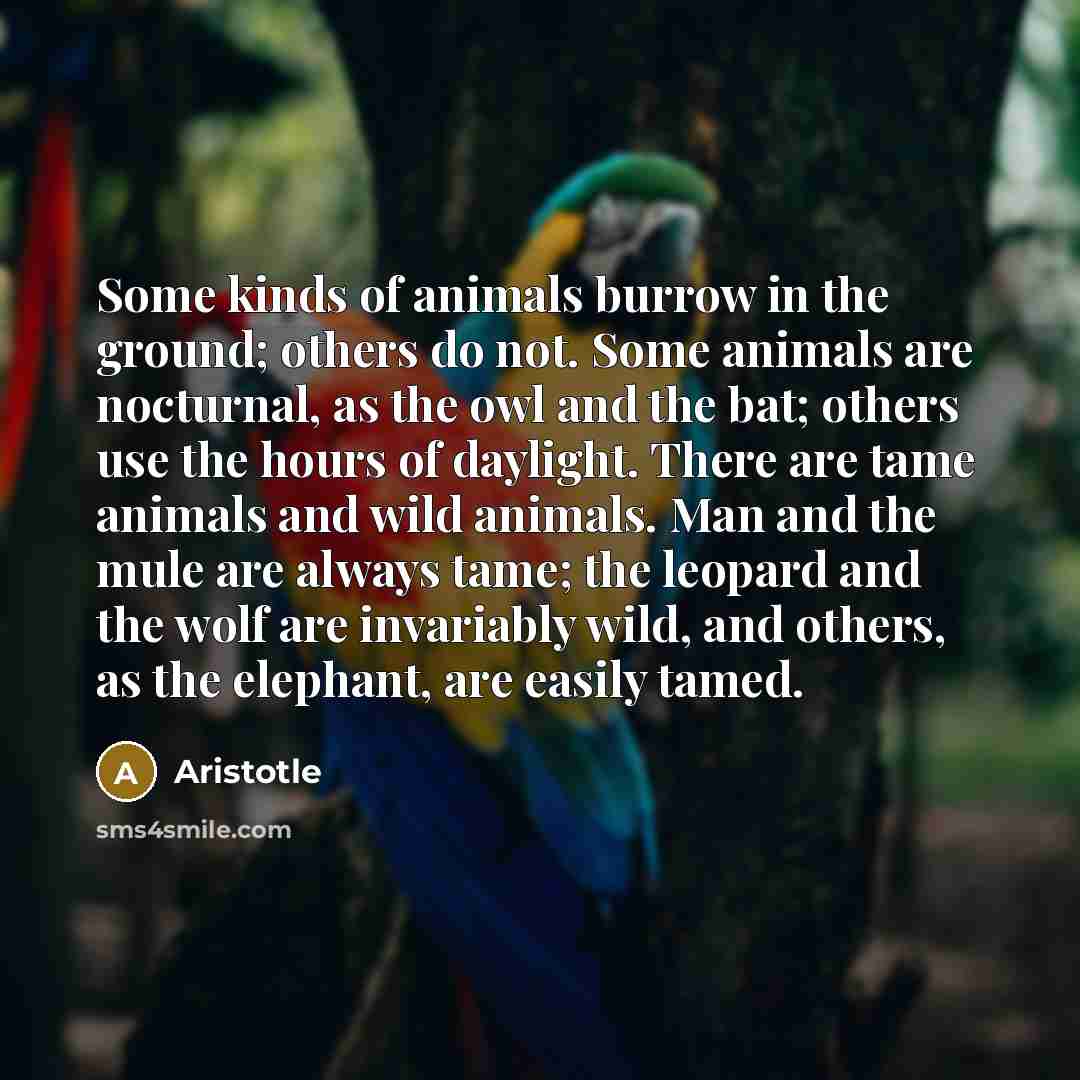 “Some kinds of animals burrow in the ground; others do…” quote by Aristotle