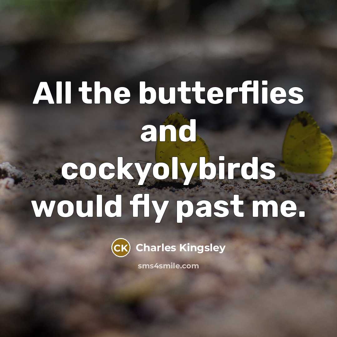 “All the butterflies and cockyolybirds would fly past me.…” quote by Charles Kingsley