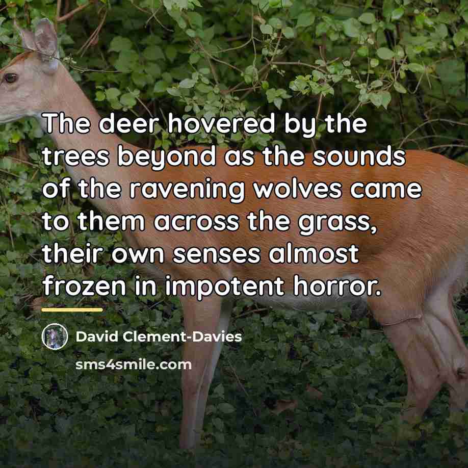“The deer hovered by the trees beyond as the sounds…” quote by David Clement-Davies