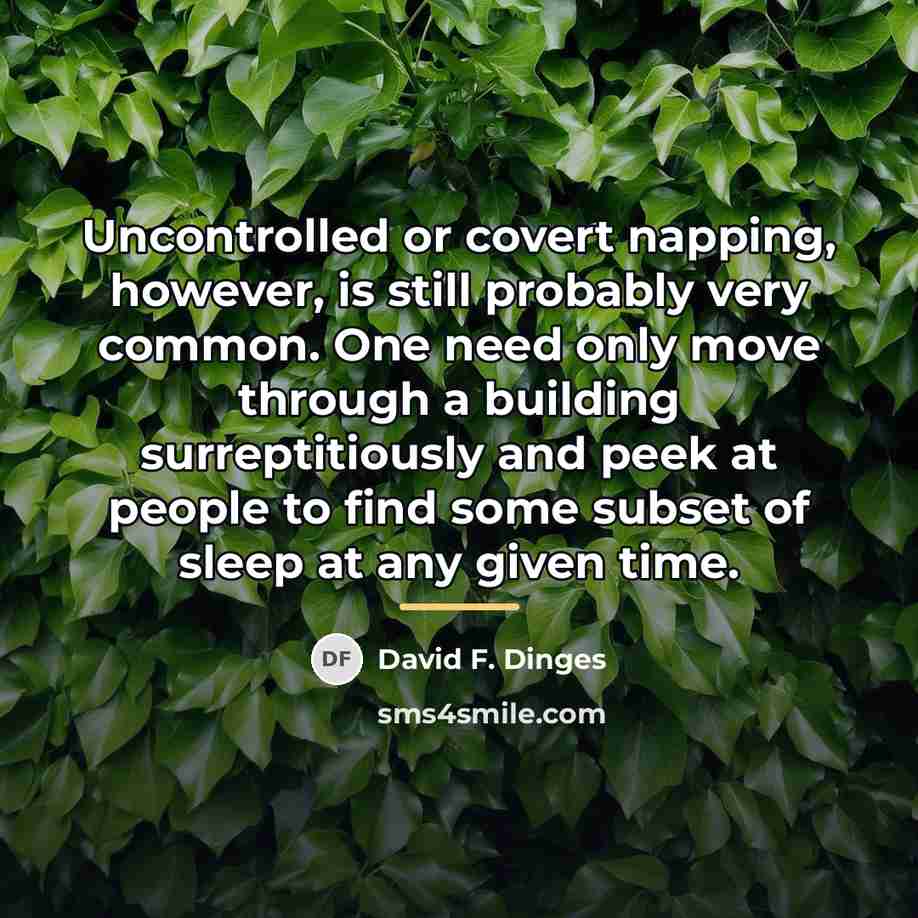 “Uncontrolled or covert napping, however, is still probably very common.…” quote by David F. Dinges
