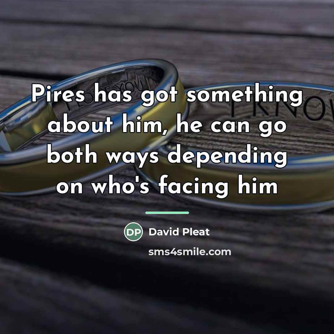 “Pires has got something about him, he can go both…” quote by David Pleat